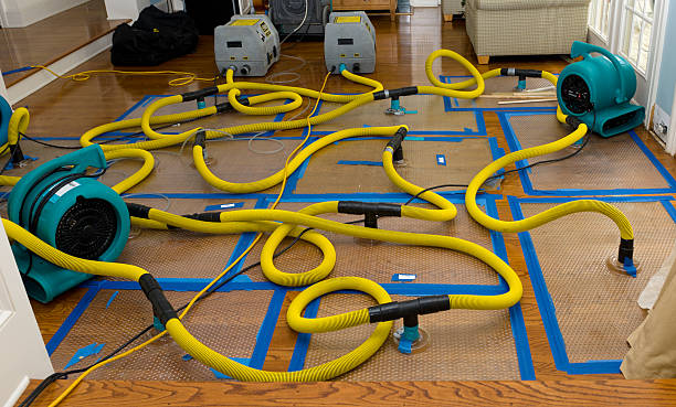 Professional Sewage Cleanup technician working in Schofield, WI